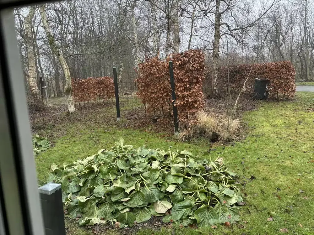 Gårdspladsen ved annekset om aftenen