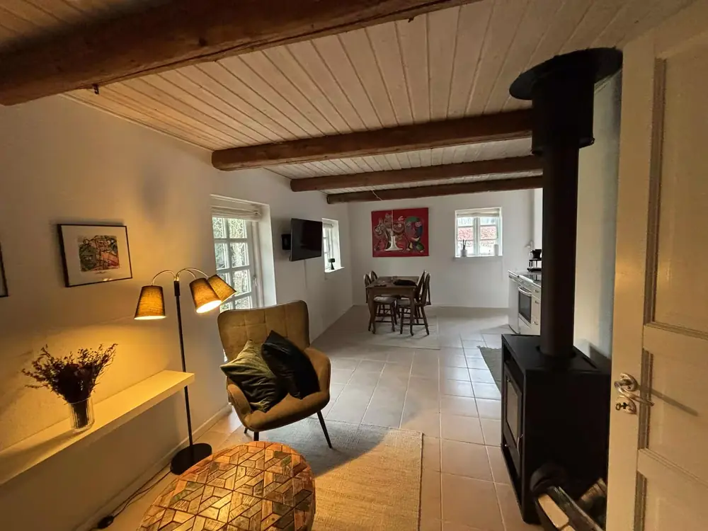 Stuen i annekset med sofa, TV og brændeovn